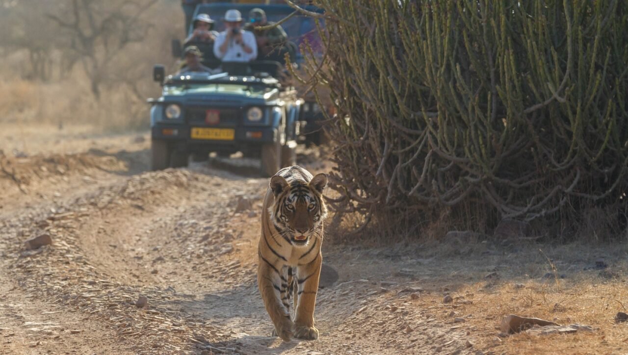 India travel destination